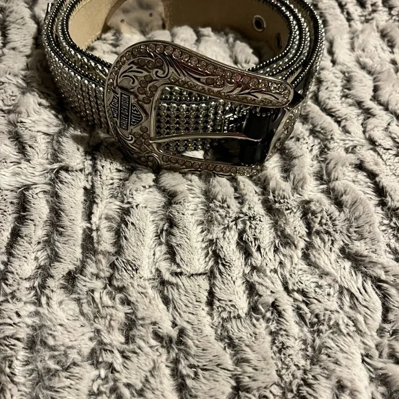 Harley-Davidson | Accessories | Harley Davidson Saturday  display picture 3